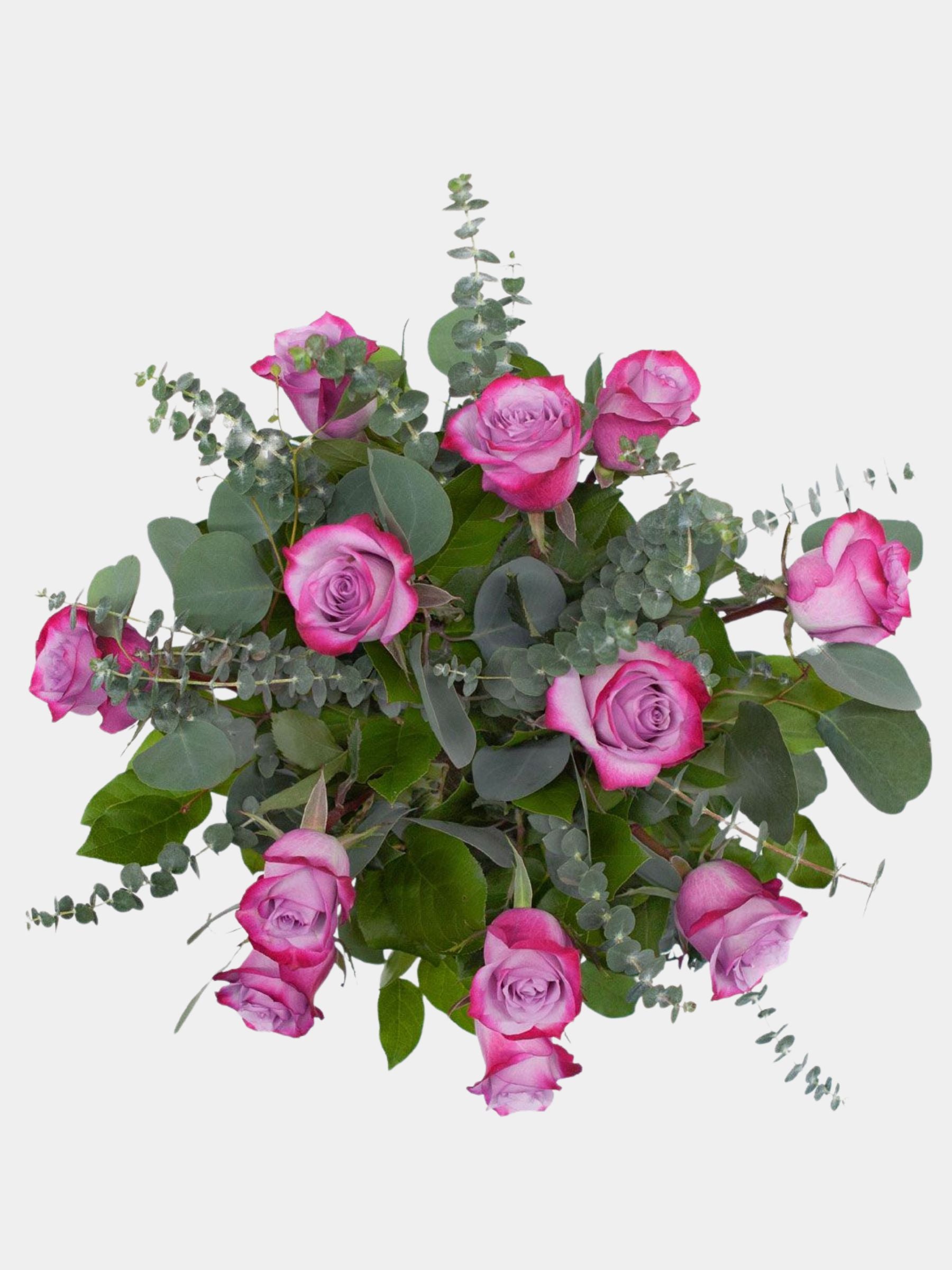 Classic 12 Deep Purple Roses in a Vase