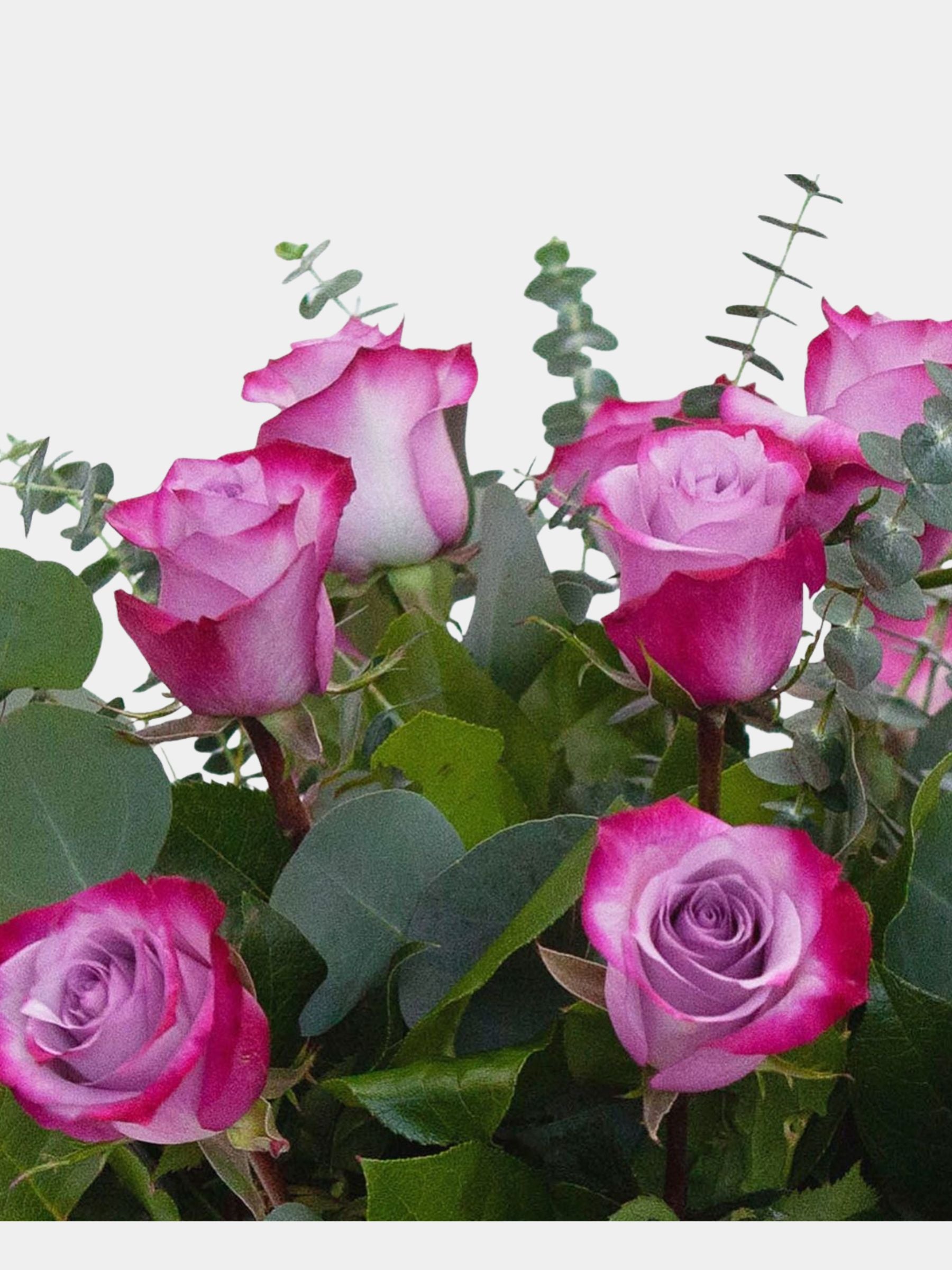 Classic 12 Deep Purple Roses in a Vase