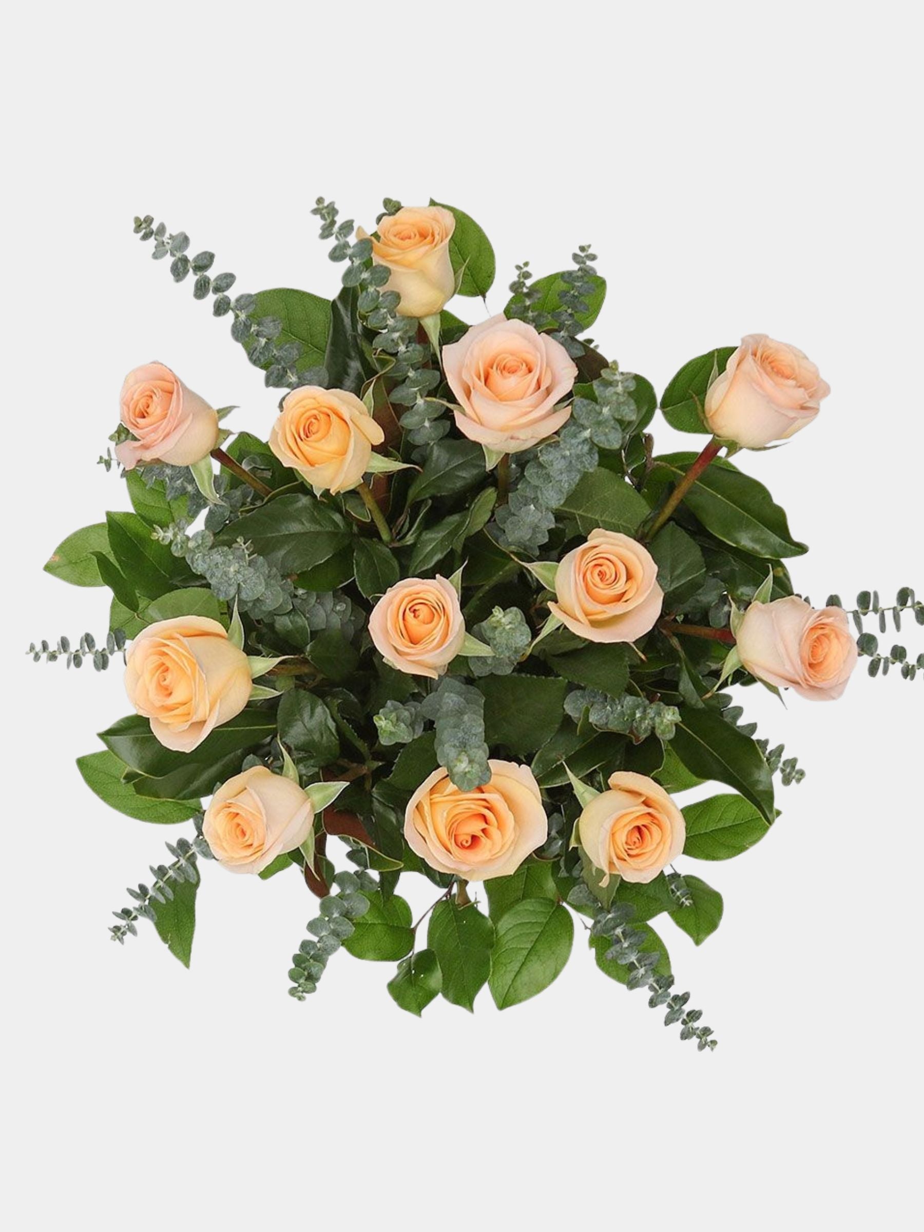 Classic 12 Peach Roses in a Vase