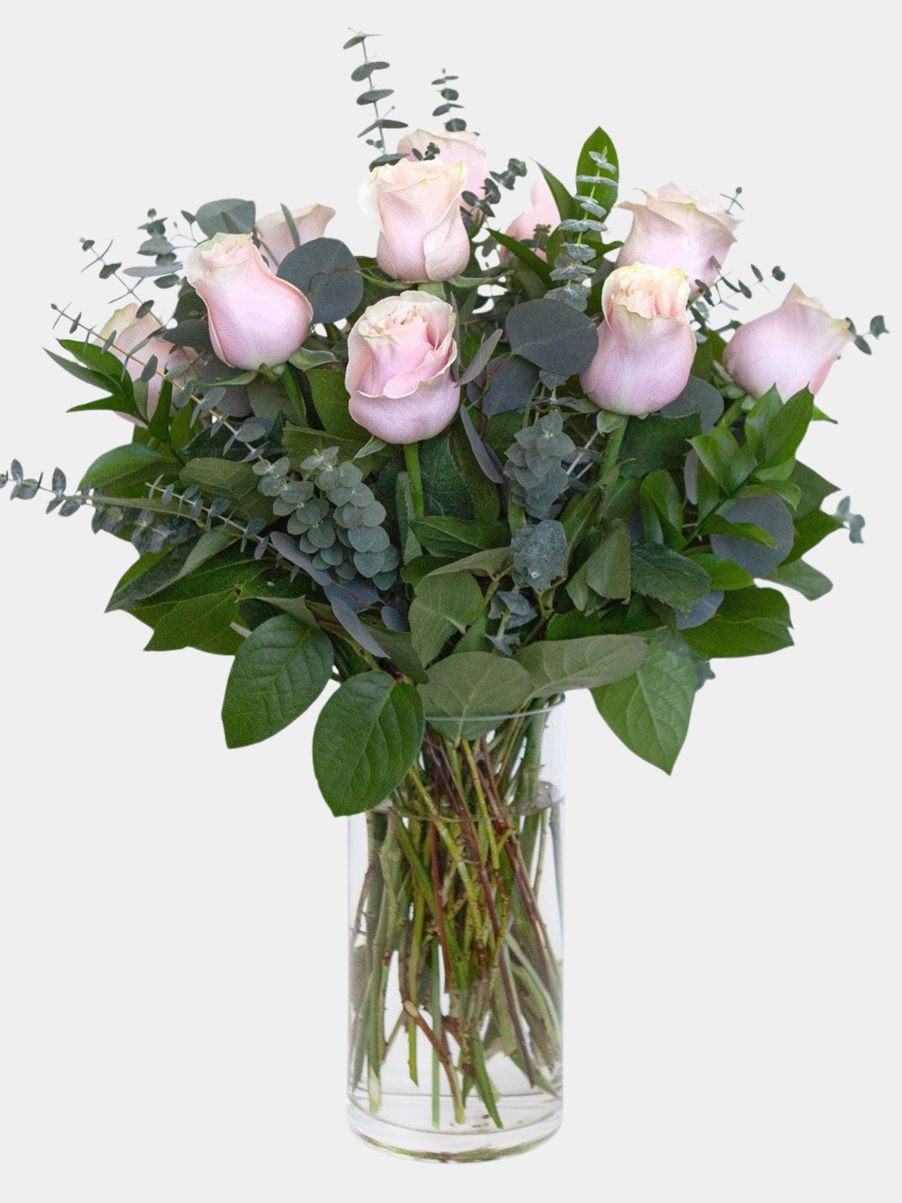 Classic 12 Soft Pink Roses in a Vase