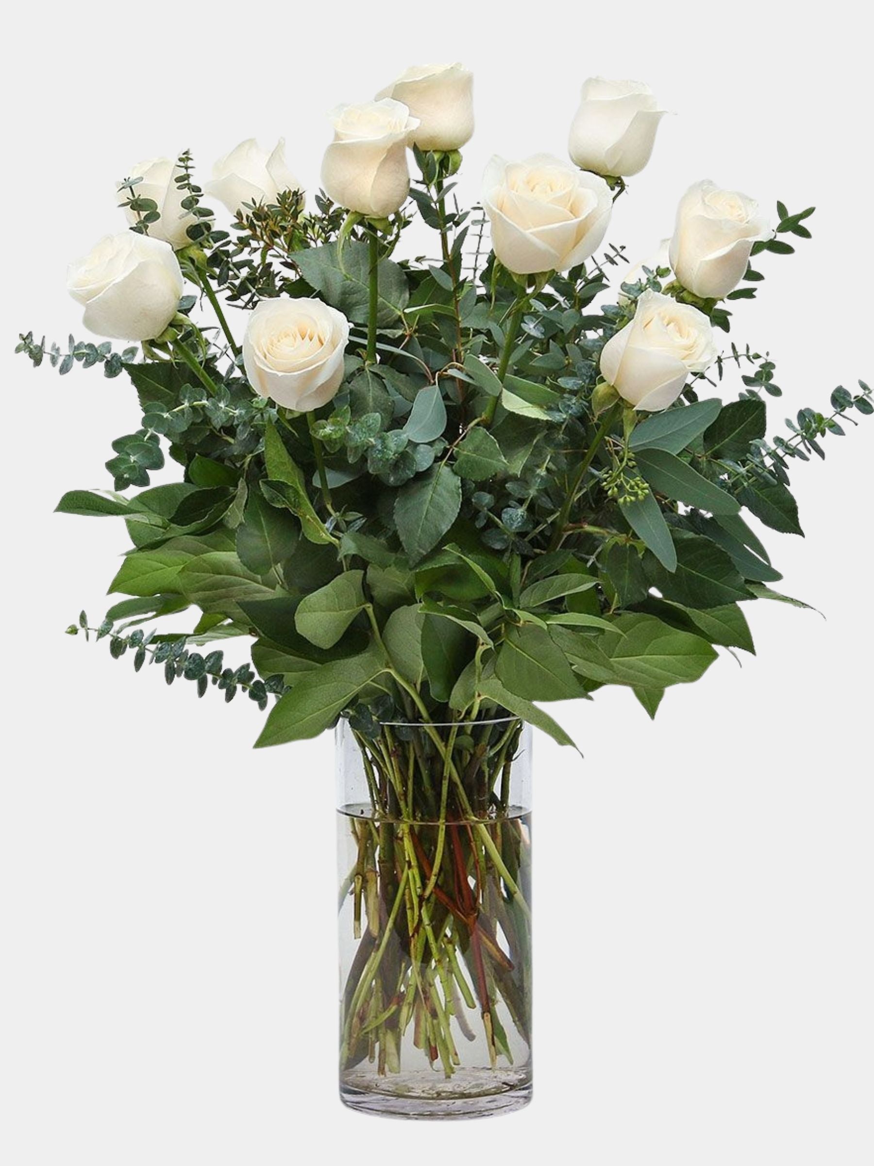 Classic 12 White Roses in a Vase