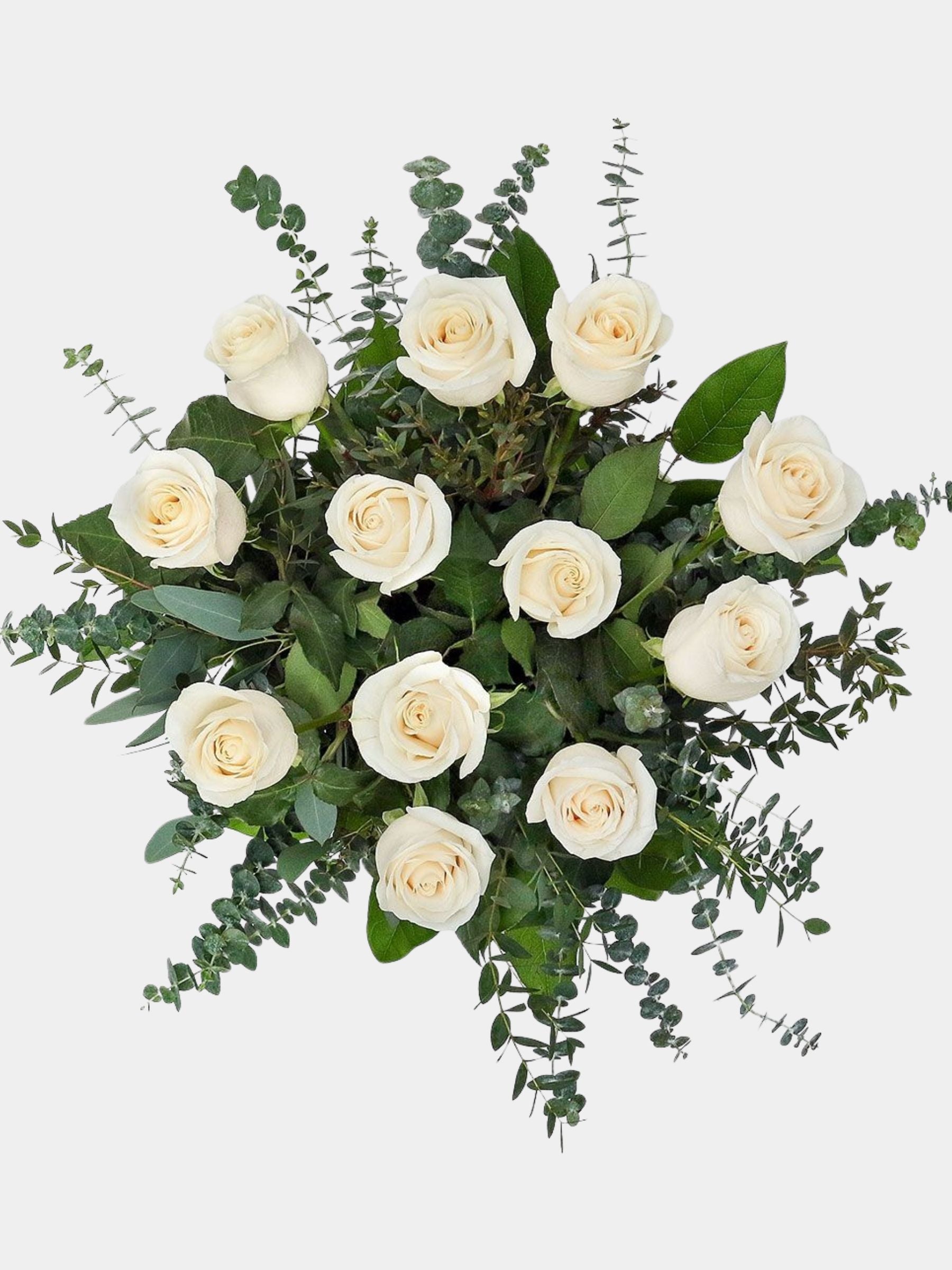 Classic 12 White Roses in a Vase