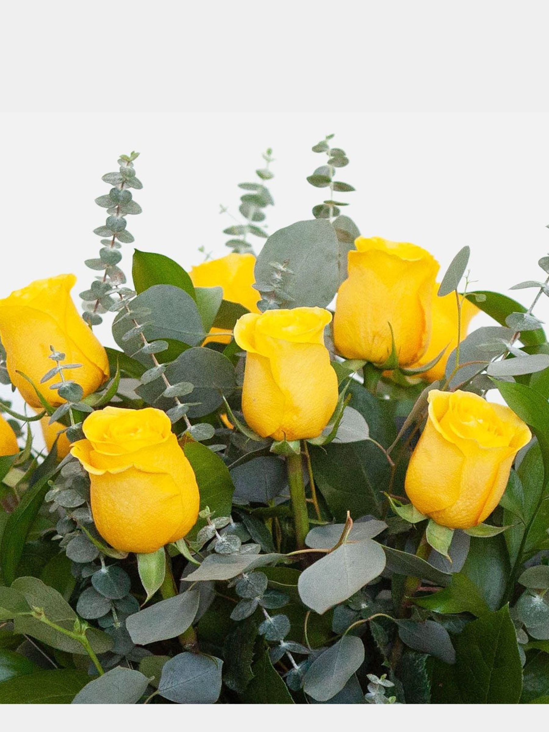 Classic 12 Yellow Roses in a Vase