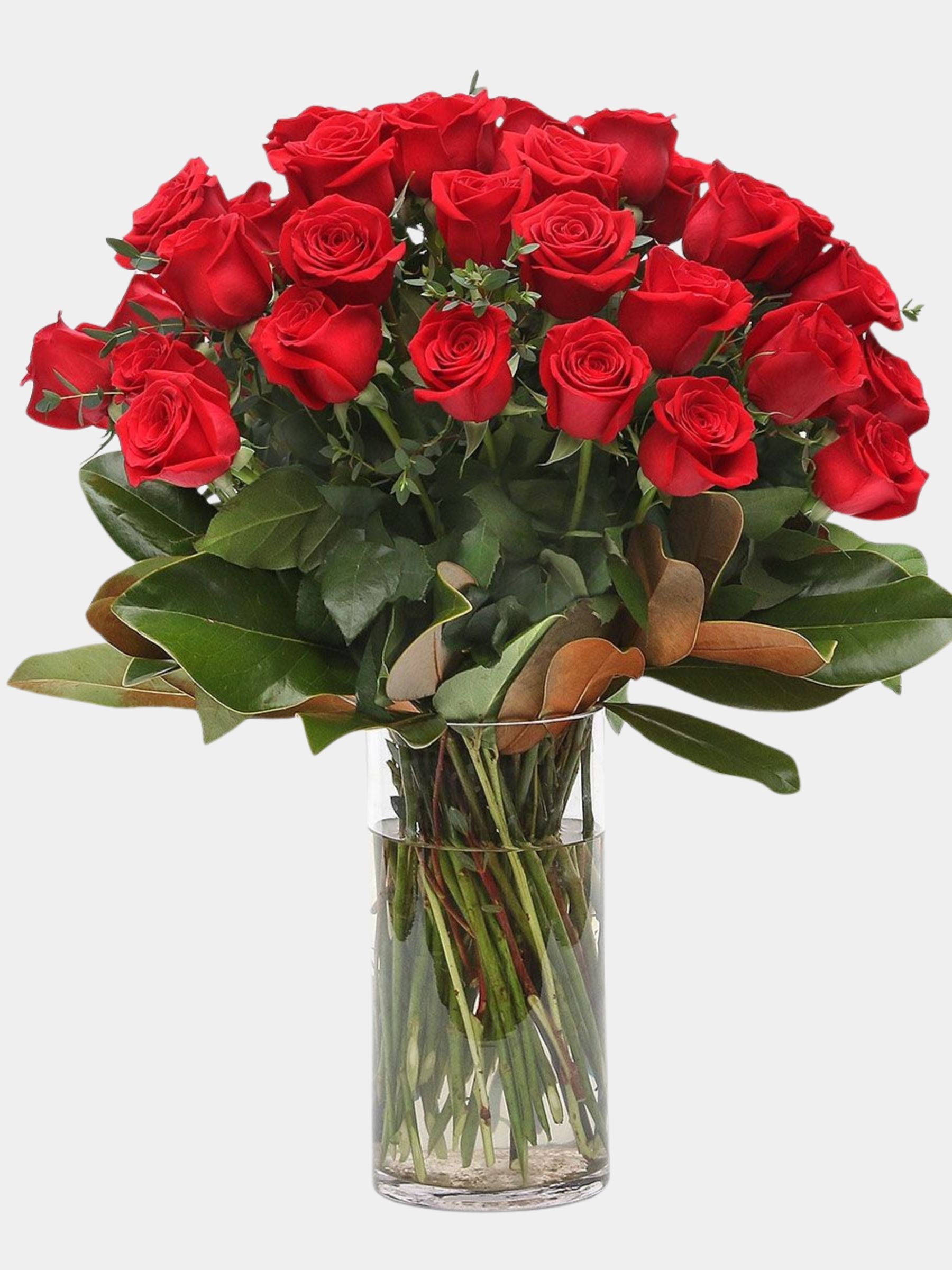 Classic 51 Red Roses in a Vase