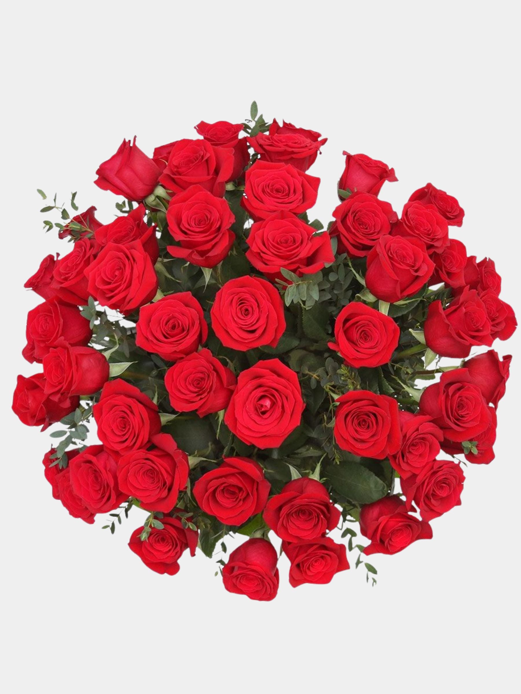 Classic 51 Red Roses in a Vase