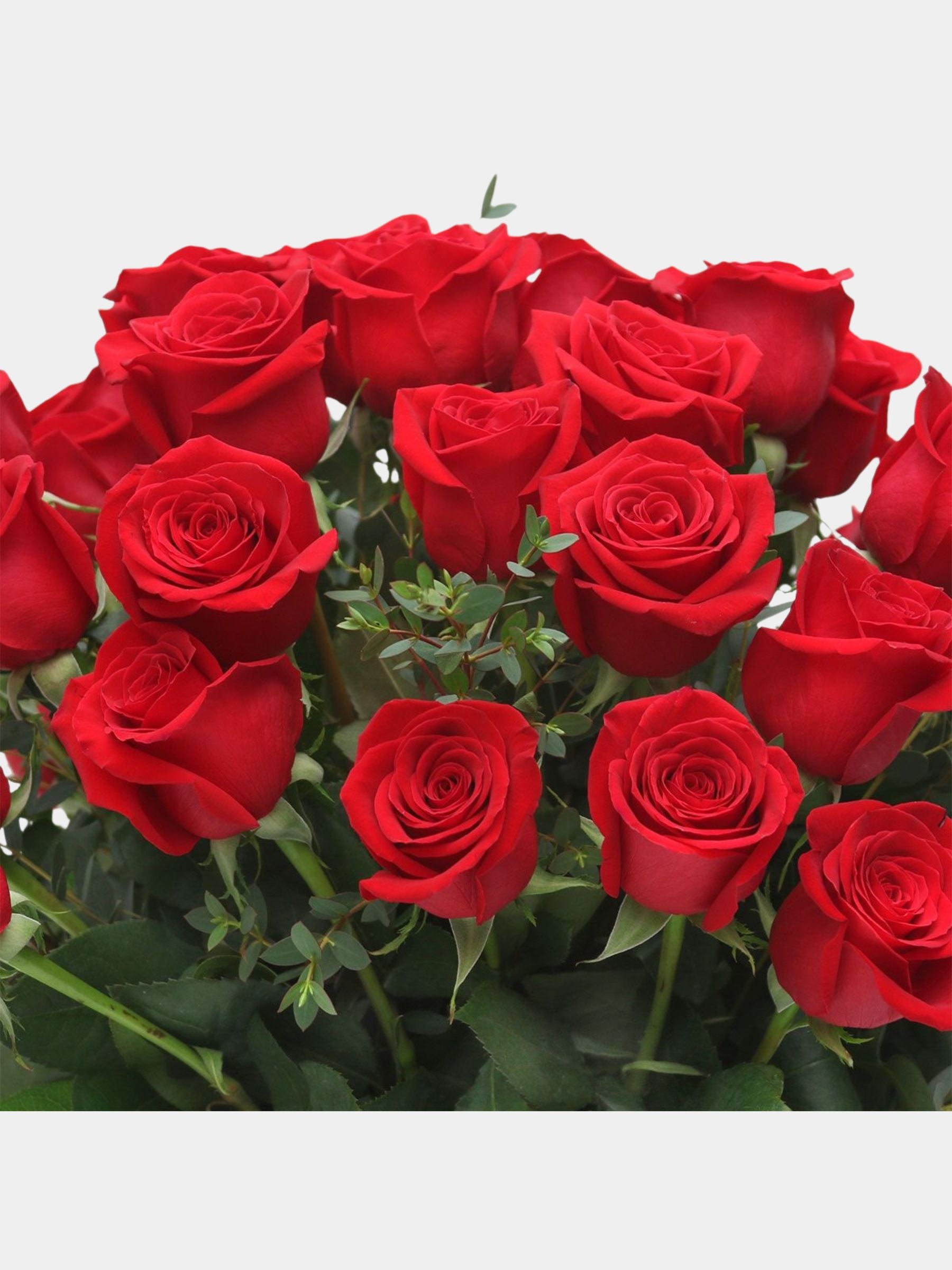 Classic 51 Red Roses in a Vase