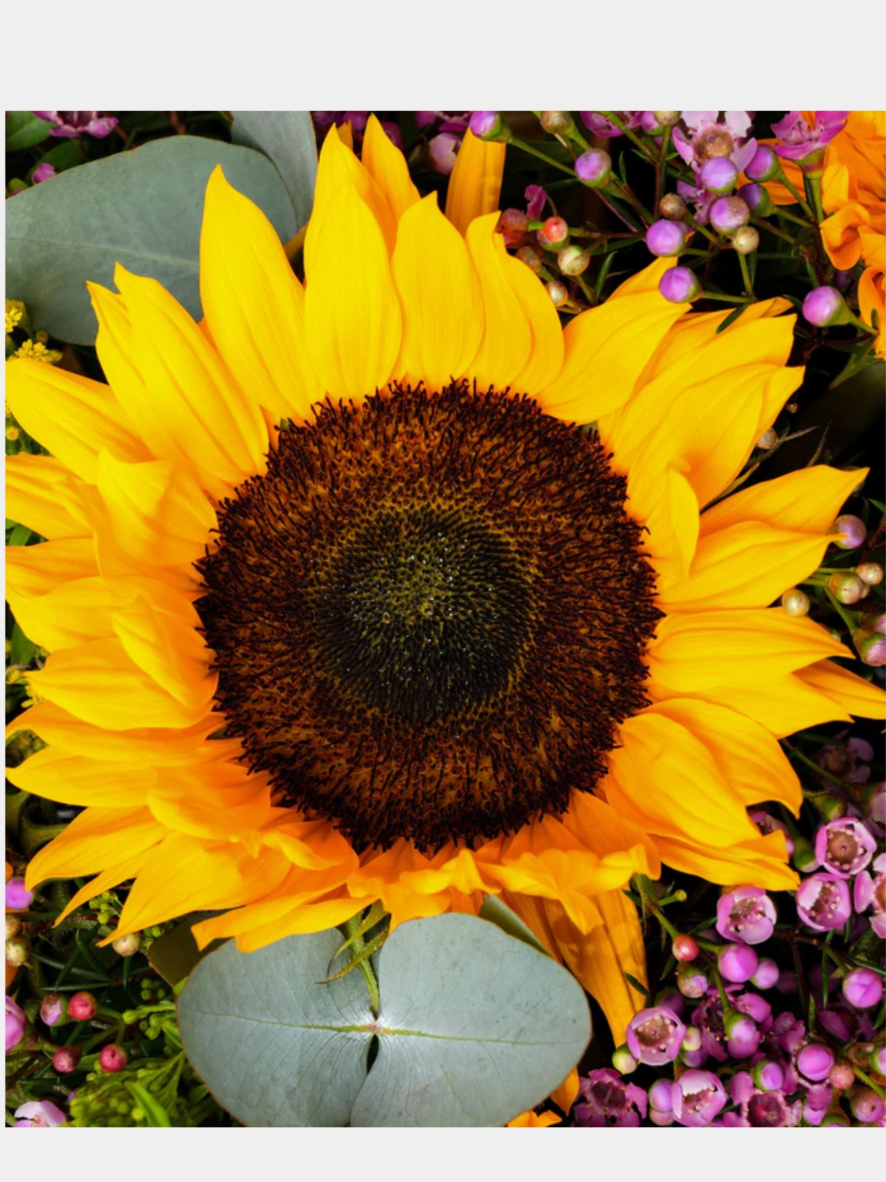 FNG Sunflowers Flower Box