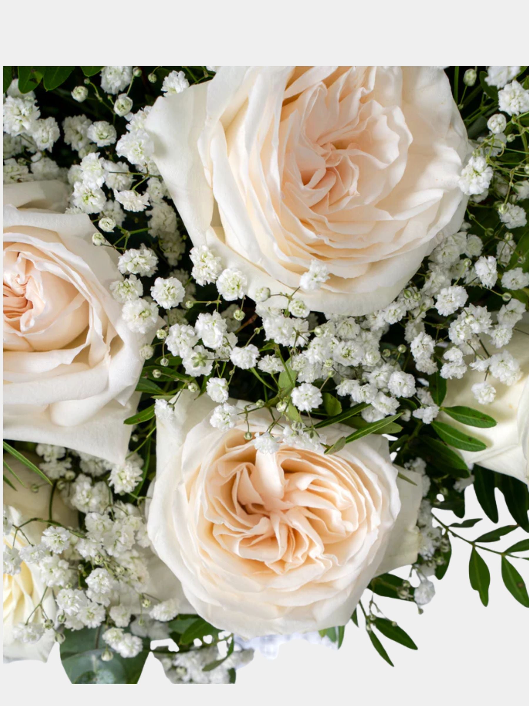 Perfect White Flower Box