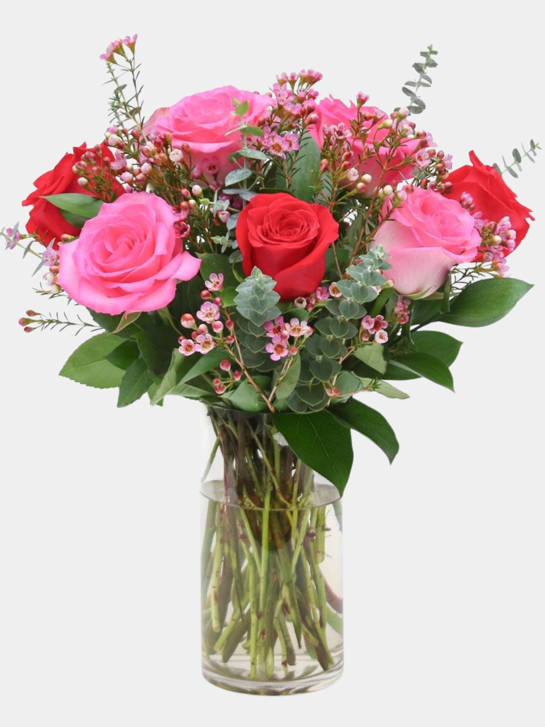 Petal Blush