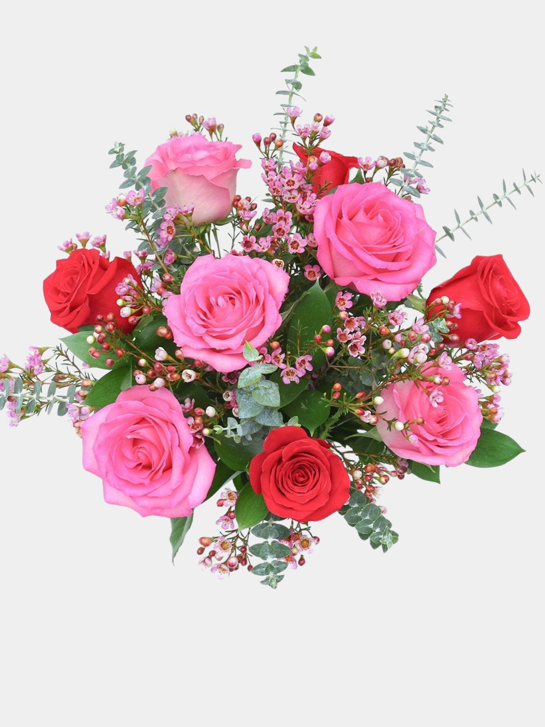 Petal Blush