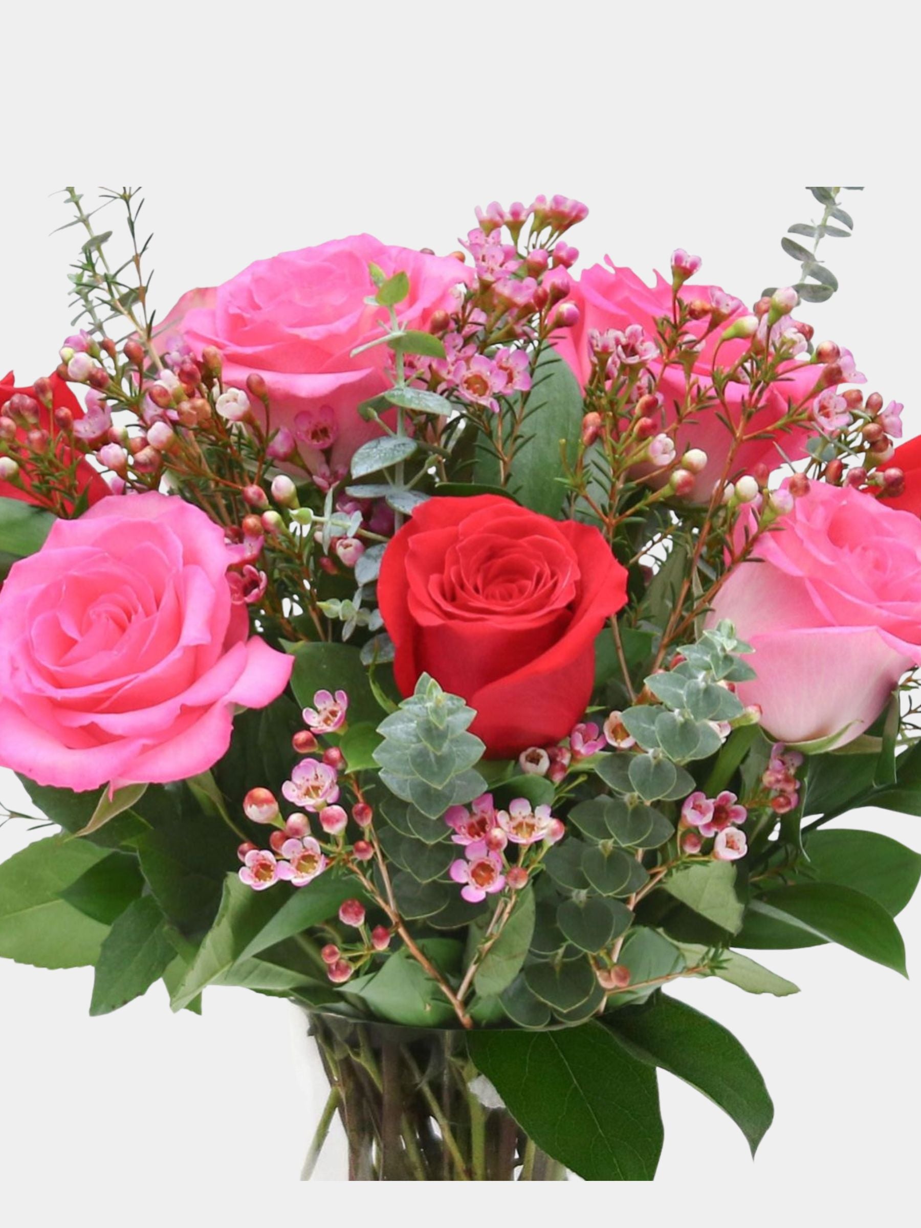 Petal Blush