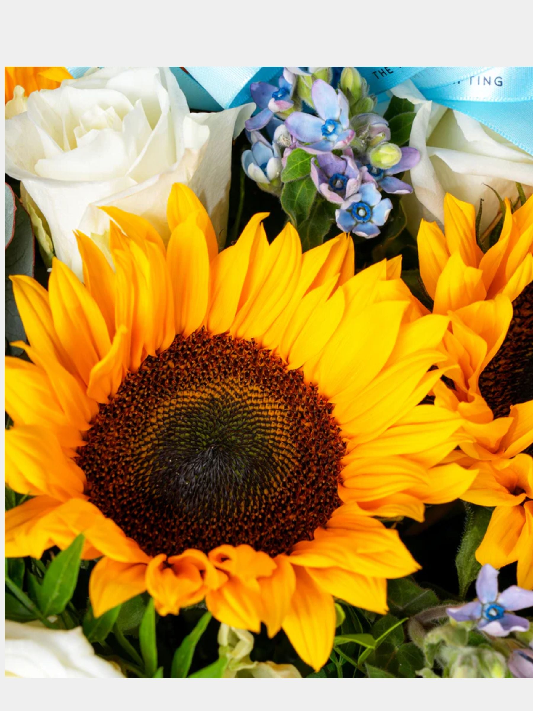 Petite Sunshine Flower Box