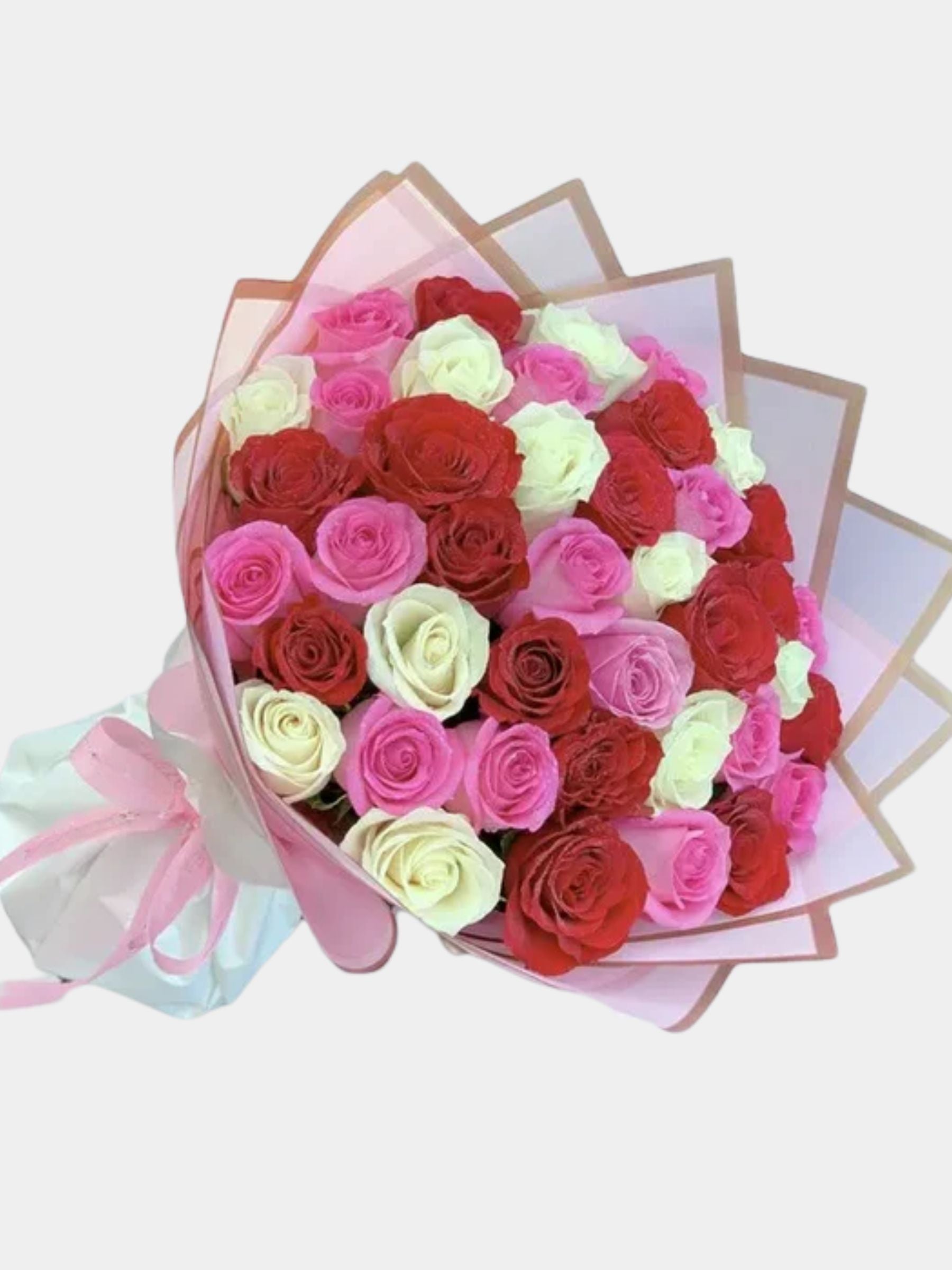 Red White Pink Roses