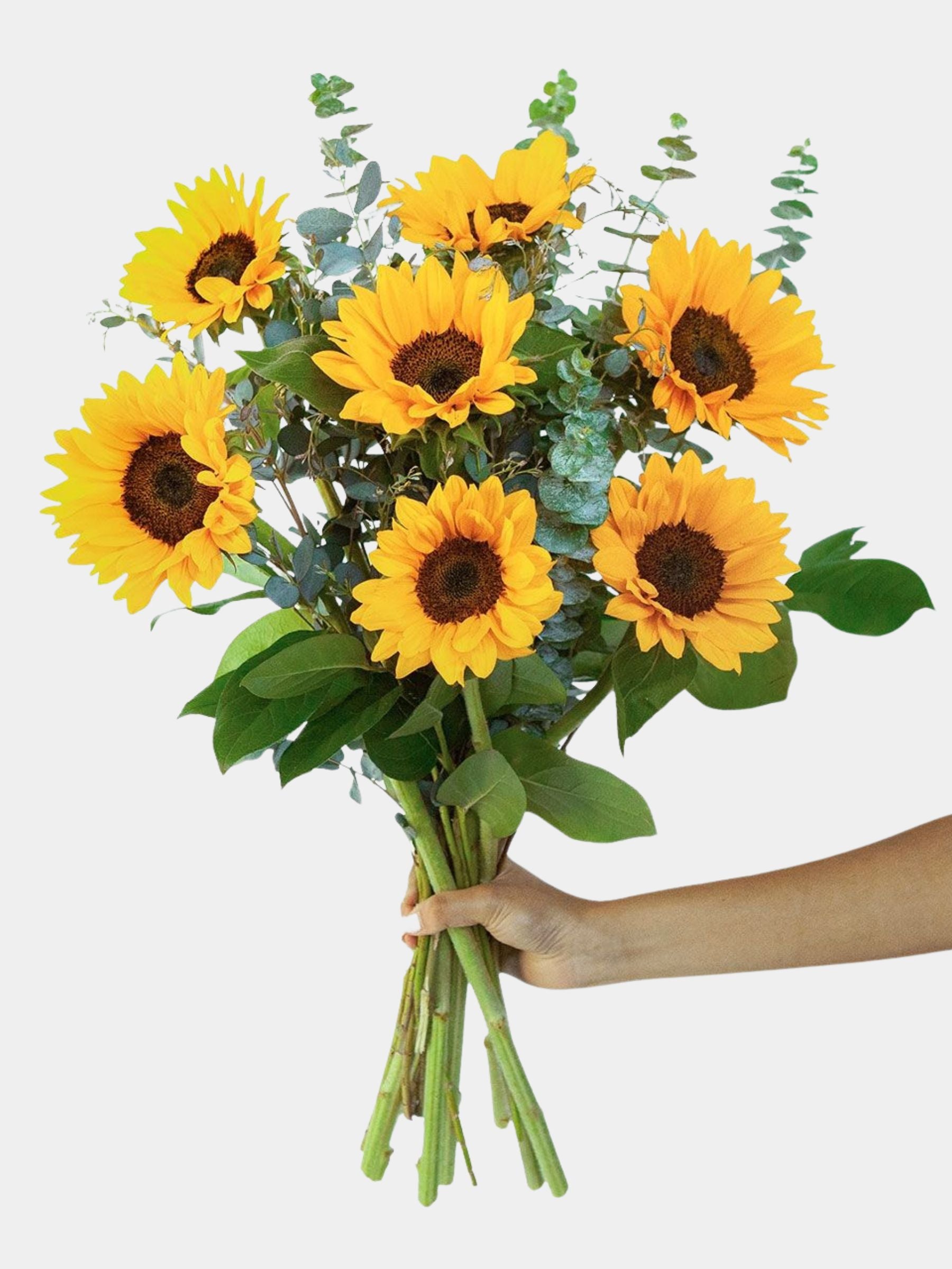 Sunflower Bouquet