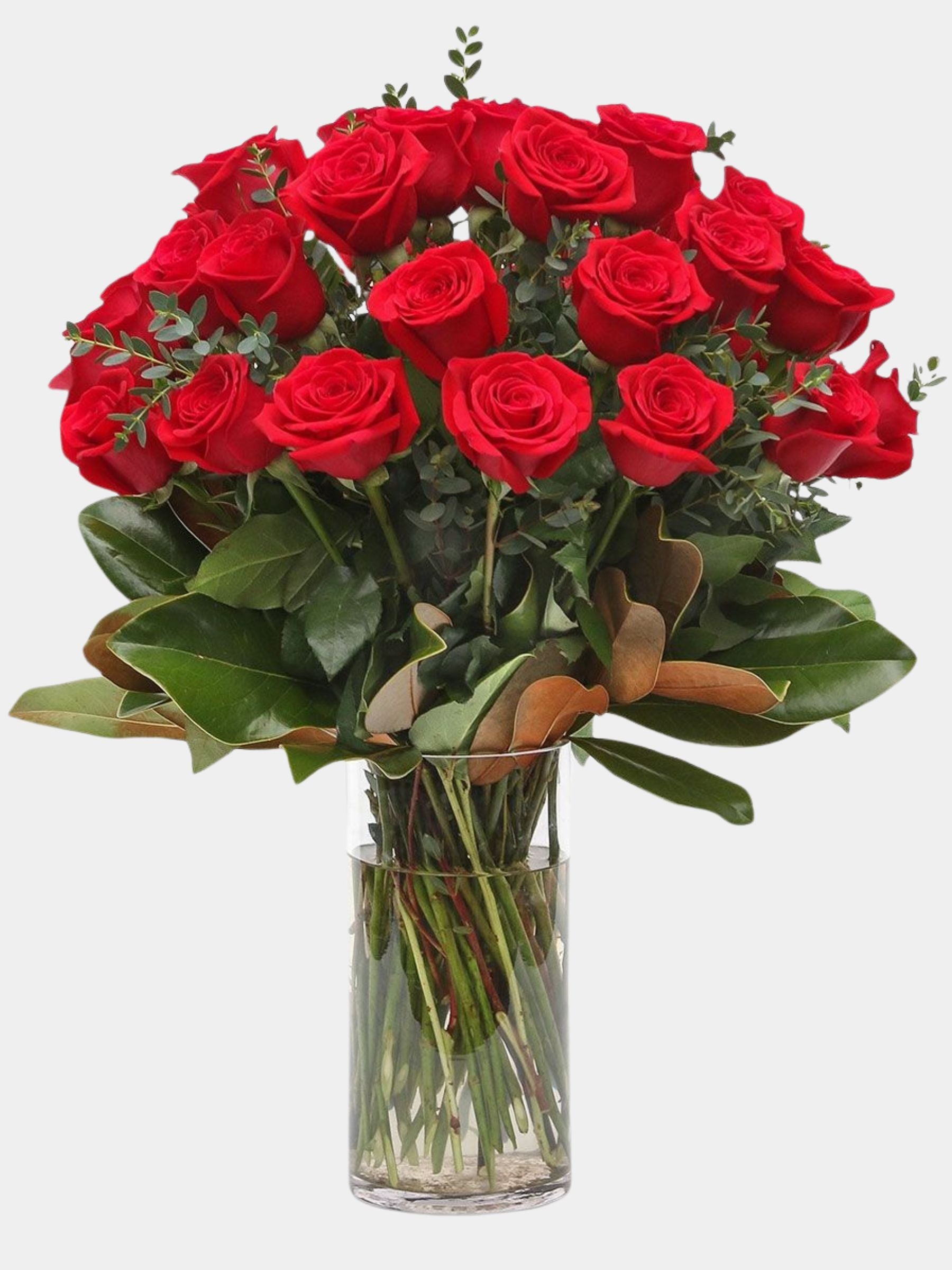 Classic 36 Red Roses in a Vase