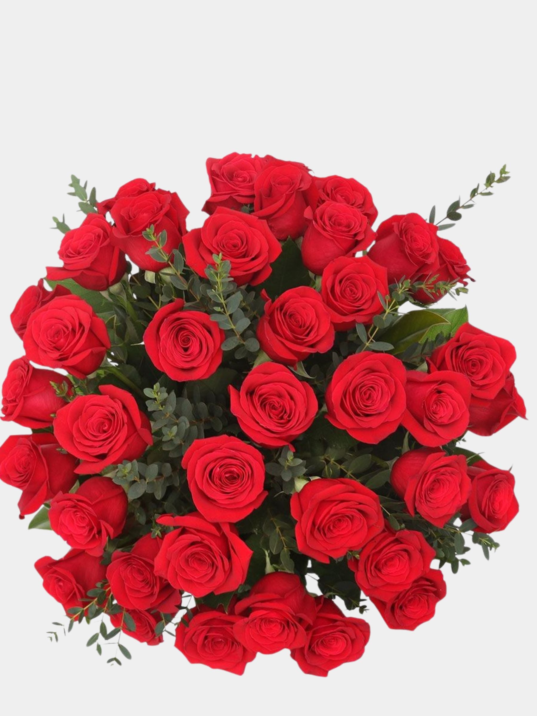 Classic 36 Red Roses in a Vase