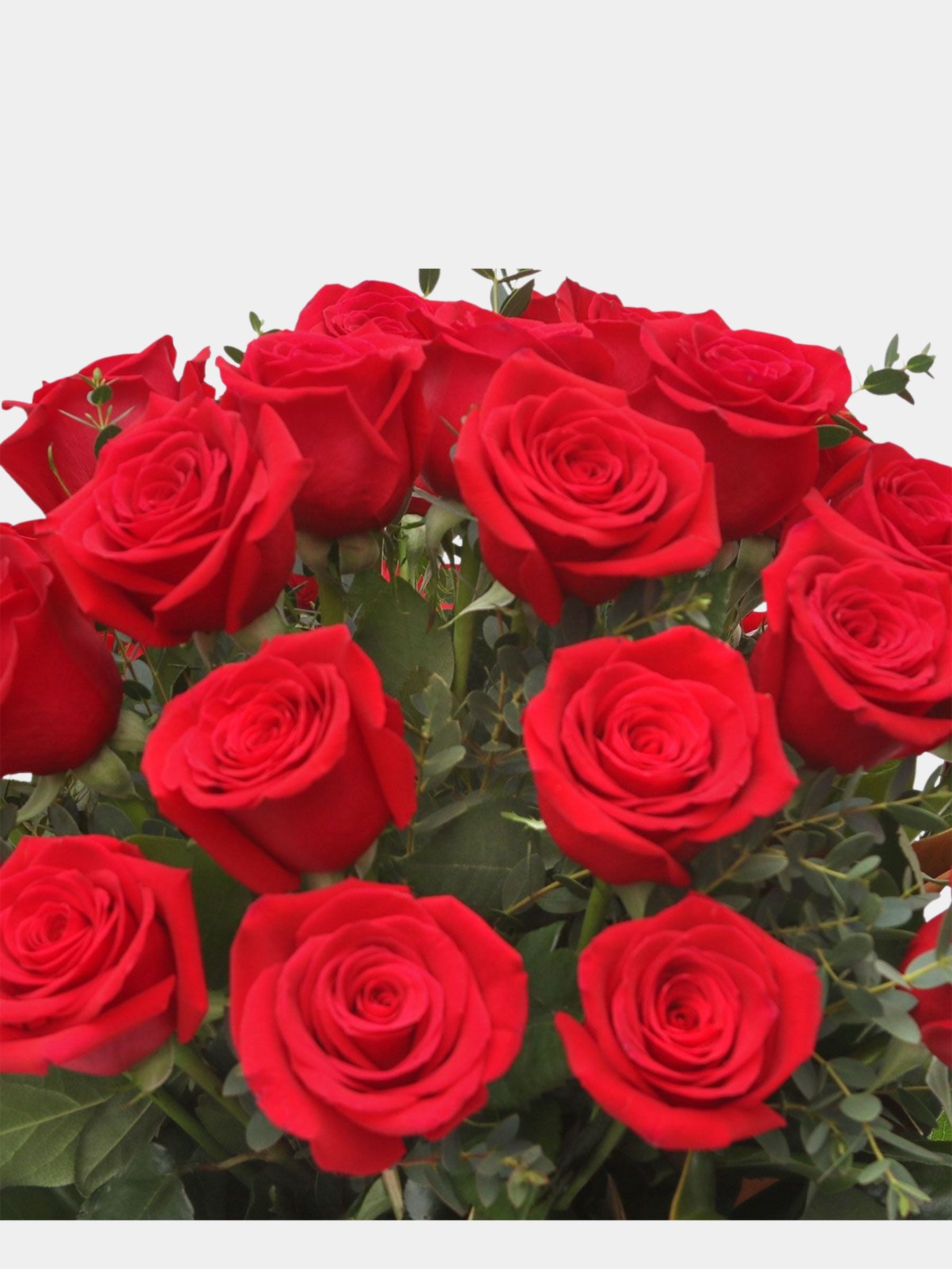 Classic 36 Red Roses in a Vase