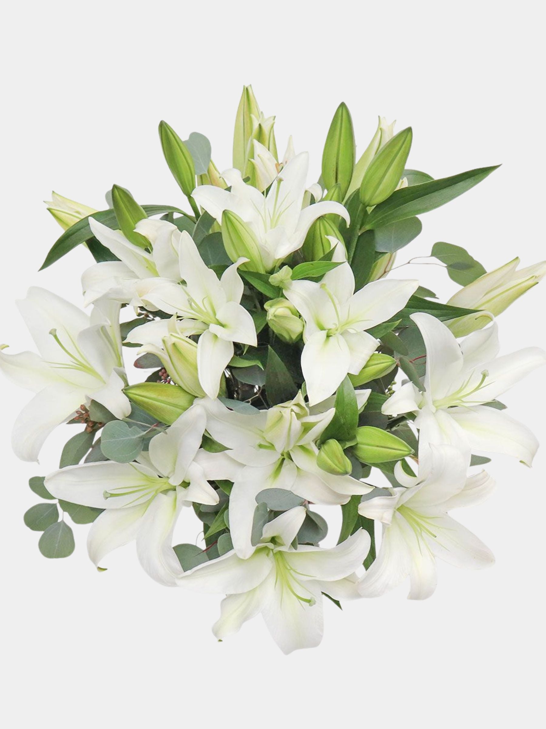 White Lilies in a Vase